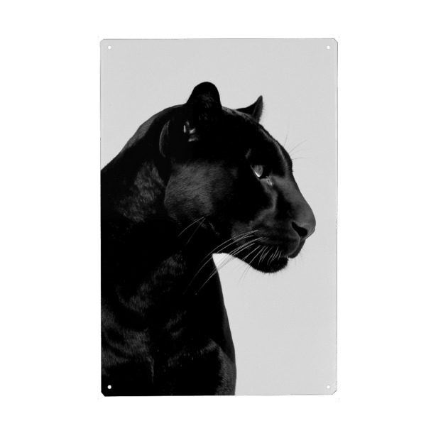 Holzbild "Panther-Minimalist" artboxONE - Natur,Tiere - Panther minimalistisch,Panther