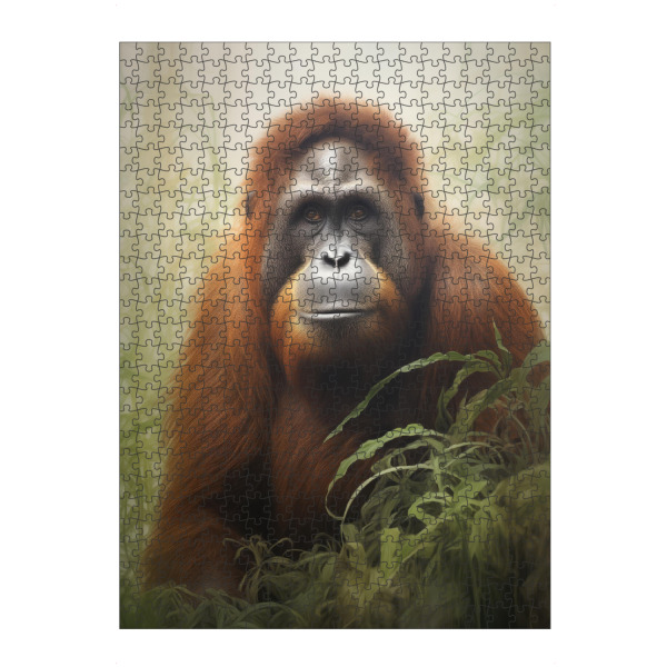 Puzzle Ravensburger "Borneo-Orang-Utan" artboxONE - Natur,Tiere