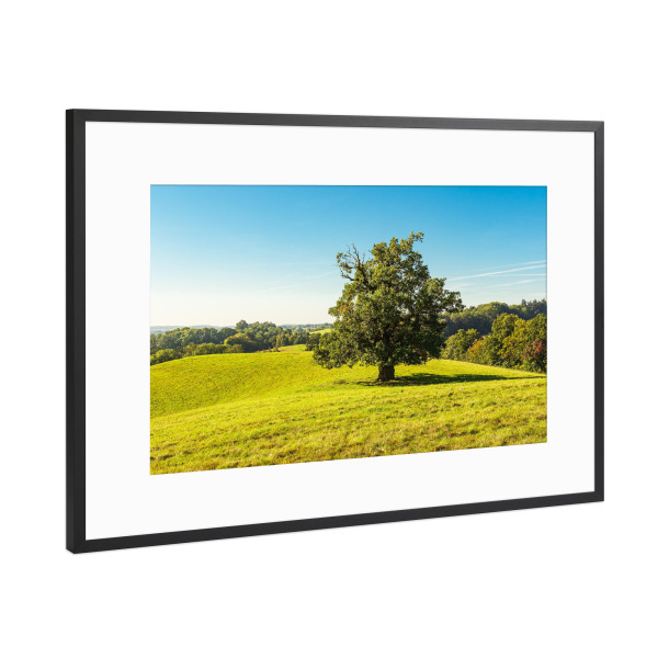 Poster mit Rahmen Schwarz (Metallic) "Baum auf einer Koppel" artboxONE - Natur,Reise