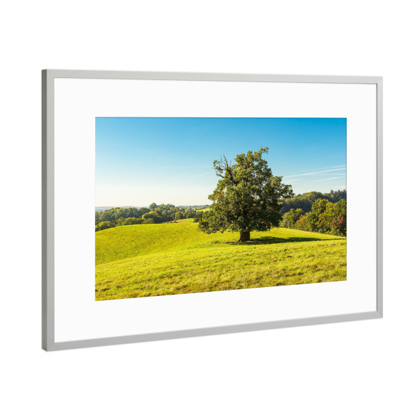 Poster mit Rahmen Silber "Baum auf einer Koppel" artboxONE - Natur,Reise