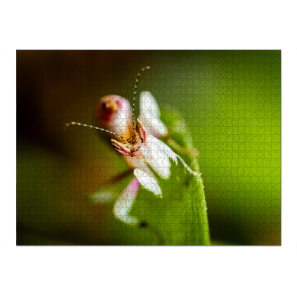 Puzzle Ravensburger "Der Blick der Orchideenmantis" artboxONE - Natur,Tiere