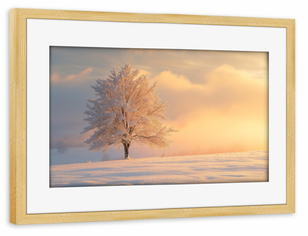 Poster mit Rahmen kiefer "Einzelner gefrorener Baum" artboxONE - Natur - Bokeh,Nebel,Frisch,Gefroren,Eis,Natur,Foto,Schnee,Sonnenaufgang,Baum,Winter