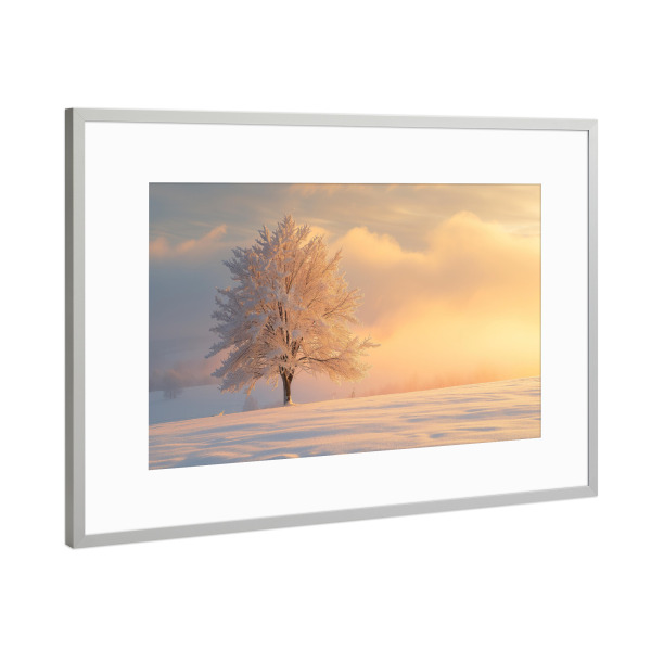 Poster mit Rahmen Silber "Einzelner gefrorener Baum" artboxONE - Natur - Bokeh,Nebel,Frisch,Gefroren,Eis,Natur,Foto,Schnee,Sonnenaufgang,Baum,Winter