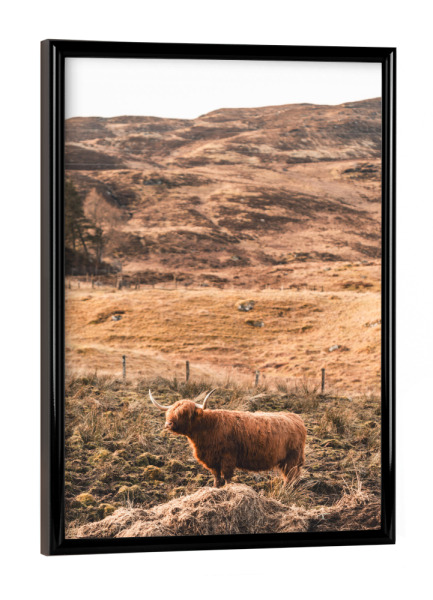 Poster mit schwarzem Rahmen "Standing and watching" artboxONE - Natur,Reise,Tiere,Reise / Länder