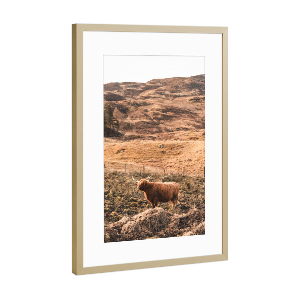 Poster mit Rahmen Gold "Standing and watching" artboxONE - Natur,Reise,Tiere,Reise / Länder