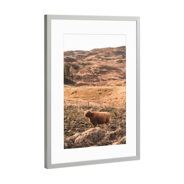 Poster mit Rahmen Silber "Standing and watching" artboxONE - Natur,Reise,Tiere,Reise / Länder