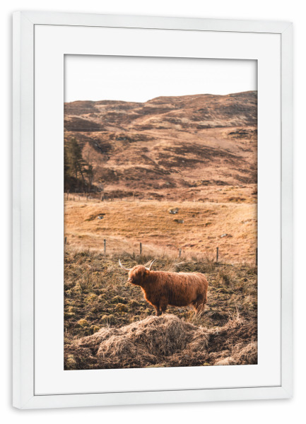 Poster mit Rahmen weiß "Standing and watching" artboxONE - Natur,Reise,Tiere,Reise / Länder