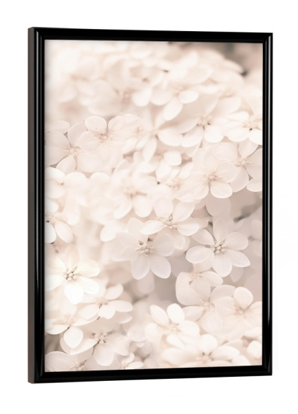 Poster mit schwarzem Rahmen "Boho Blüten Zauber" artboxONE - Natur,Floral,Liebe