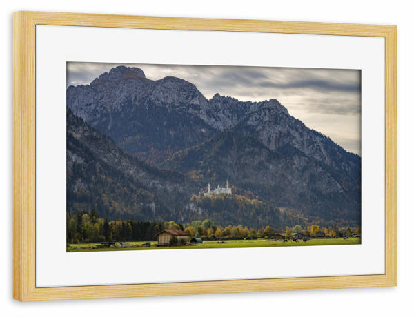 Poster mit Rahmen kiefer "Allgäu und Schloss Neuschwanstein" artboxONE - Natur,Reise