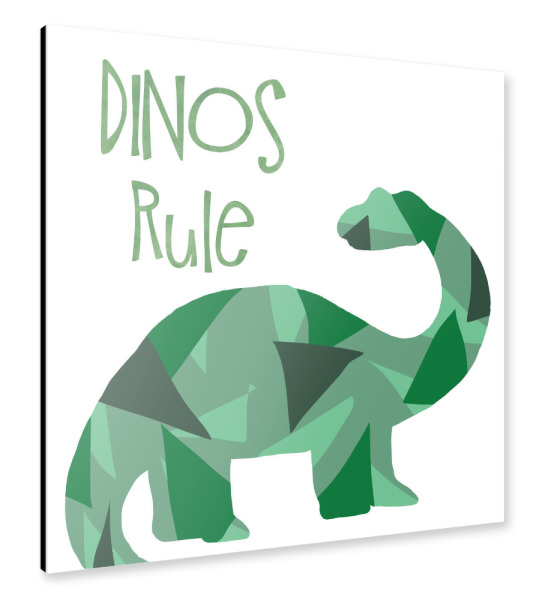 Alu-Dibond "Dinos-Regel" 30x30 cm artboxONE