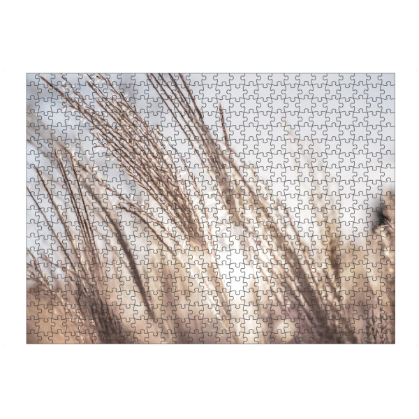 Puzzle Ravensburger "Goldenes Gräsermeer" artboxONE - Natur - Natur,Naturfotografie,Gras,Gräser,Gold,Beige,Sonnenstrahlen,Leuchten,Schilf,Schilfhalme