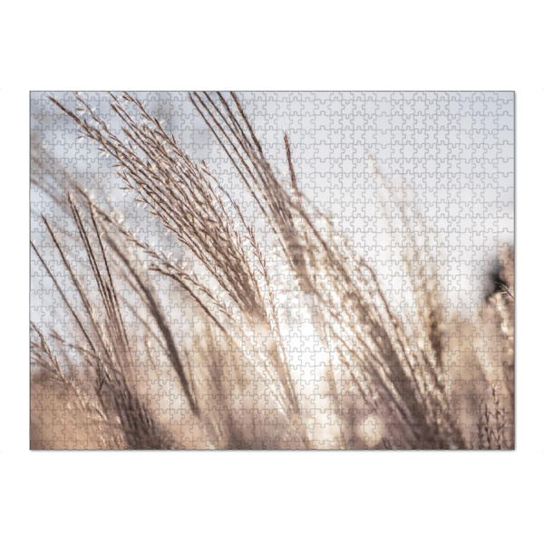 Puzzle Ravensburger "Goldenes Gräsermeer" artboxONE - Natur - Natur,Naturfotografie,Gras,Gräser,Gold,Beige,Sonnenstrahlen,Leuchten,Schilf,Schilfhalme