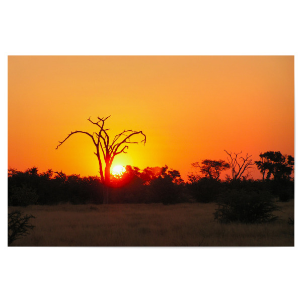 Poster "Beautiful African Sunset" artboxONE - Natur,Reise,Reise / Afrika,Reise / Länder