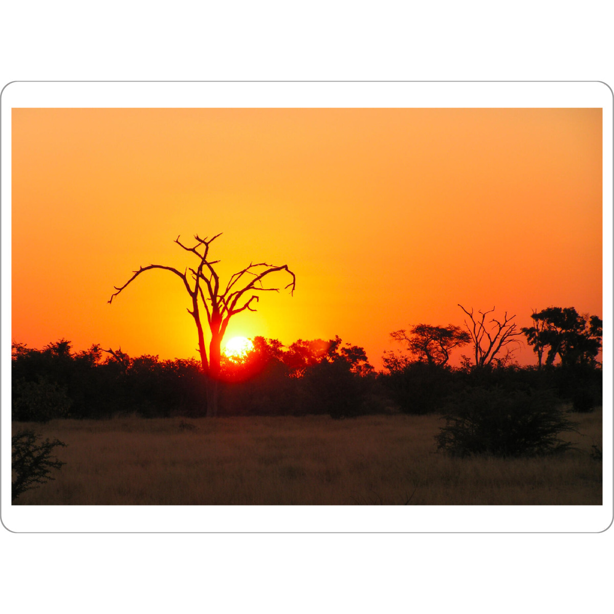 Tischset "Beautiful African Sunset" artboxONE - Natur,Reise,Reise / Afrika,Reise / Länder