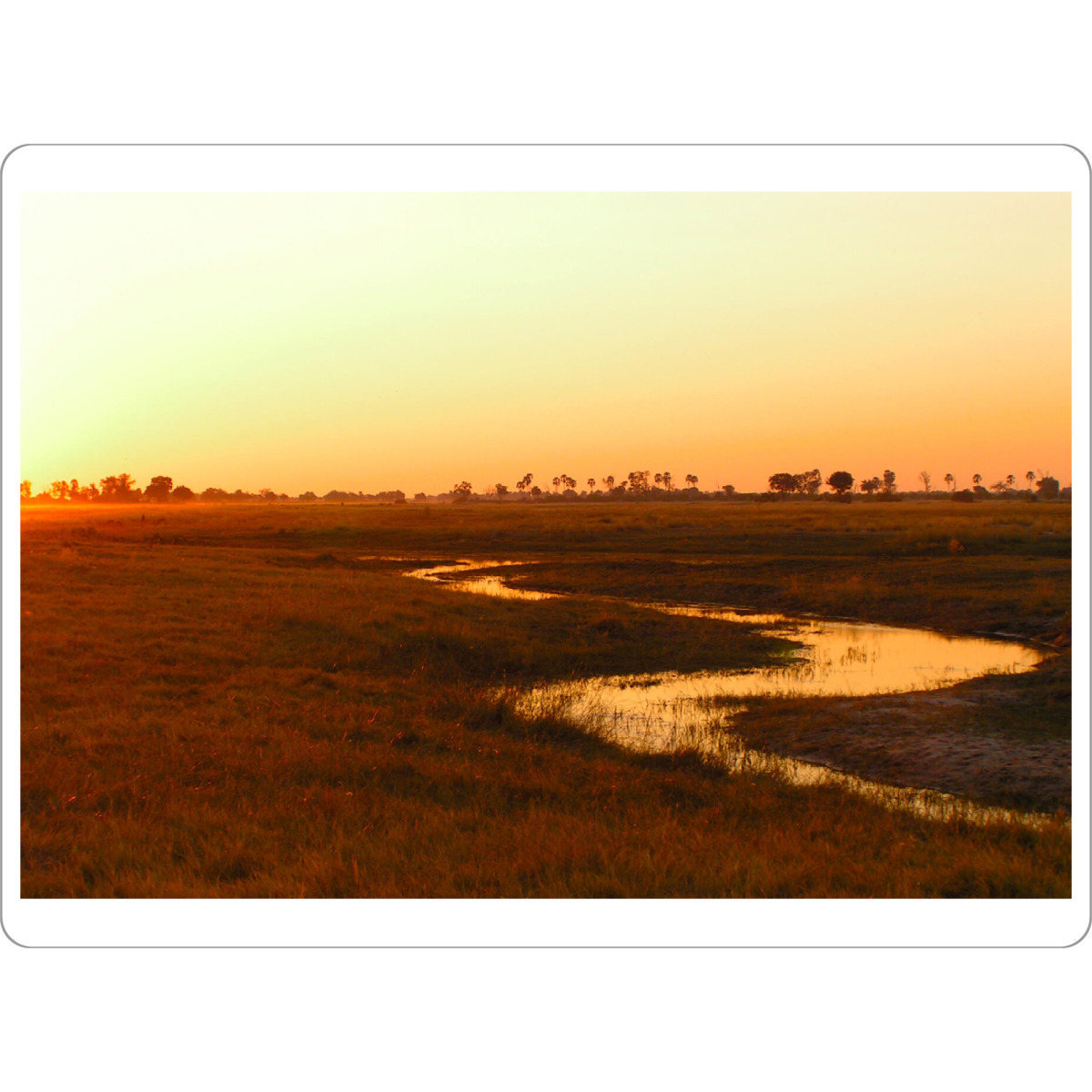 Tischset "The African Sunset" artboxONE - Natur,Reise,Reise / Afrika,Reise / Länder