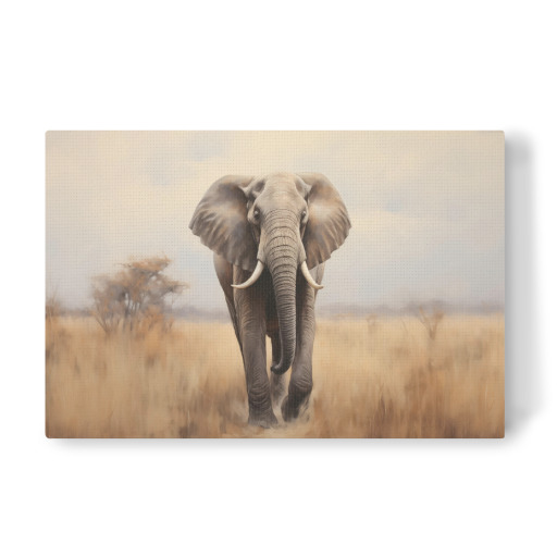 Painted Elephant