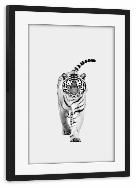 Poster mit Rahmen schwarz "Tiger-Minimalist" artboxONE - Natur,Tiere,Schwarzweiß