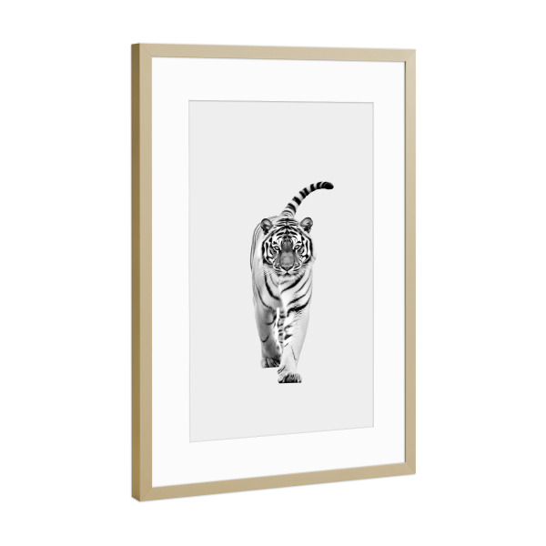 Poster mit Rahmen Gold "Tiger-Minimalist" artboxONE - Natur,Tiere,Schwarzweiß