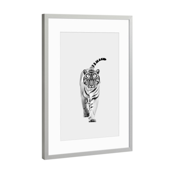 Poster mit Rahmen Silber "Tiger-Minimalist" artboxONE - Natur,Tiere,Schwarzweiß