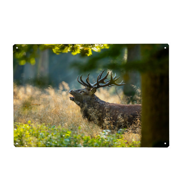 Holzbild "Der König der Wälder" artboxONE - Natur,Tiere - Hirsch,Brunft,Hirsche,Rothirsch,Rotwild,Wild,Wildtiere,Wald