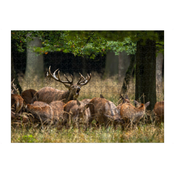 artboxONE Puzzle "Rothirsche im Wald bei der Brunft" artboxONE - Natur,Tiere - Hirsch,Brunft,Hirsche,Rothirsch,Rotwild,Wild,Wildtiere,Wald