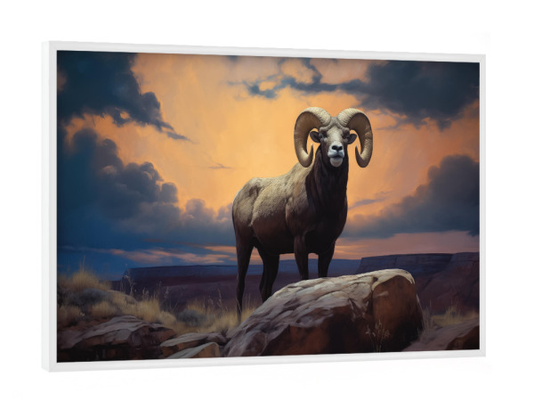 Poster mit weißem Rahmen "Großer Widder bei Sonnenuntergang" artboxONE - Natur,Tiere