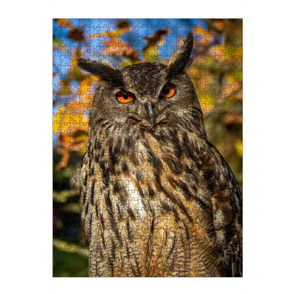 Puzzle Ravensburger "Uhu im Wald" artboxONE - Tiere - Uhu,Eule,Vogel,Wildlife - Bild uhu