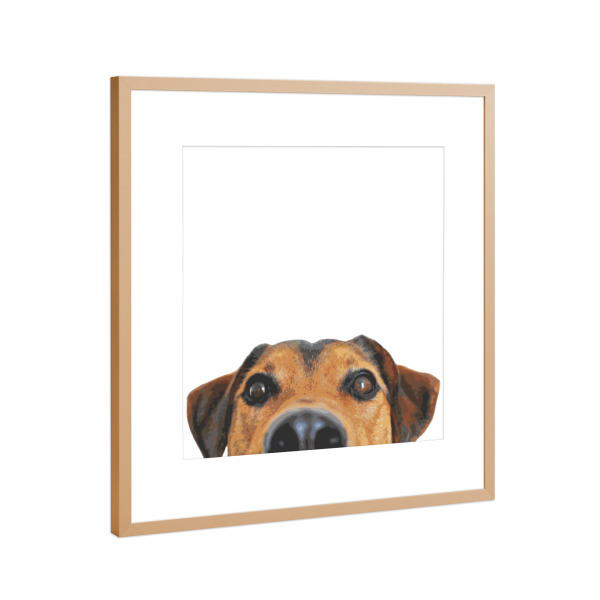 Poster mit Rahmen Kupfer "Hundegesicht" artboxONE - Tiere,Lustig