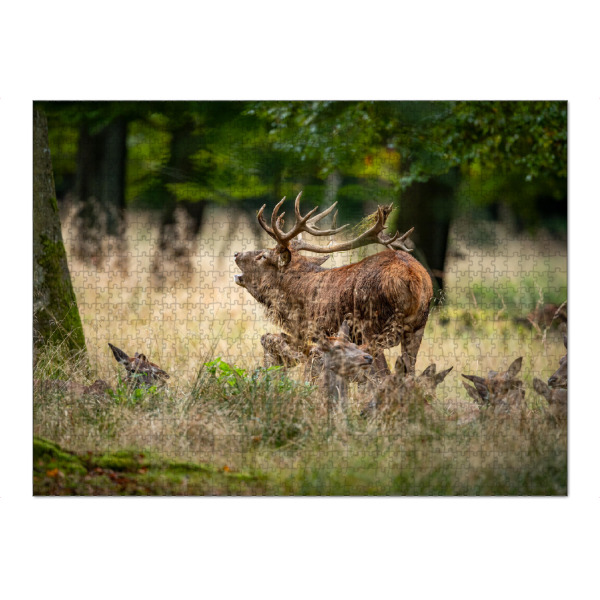 Puzzle Ravensburger "Rothirsch mit seinem Rudel" artboxONE - Natur,Tiere - Hirsch,Brunft,Hirsche,Rothirsch,Rotwild,Wild,Wildtiere,Wald - Bild hirsch