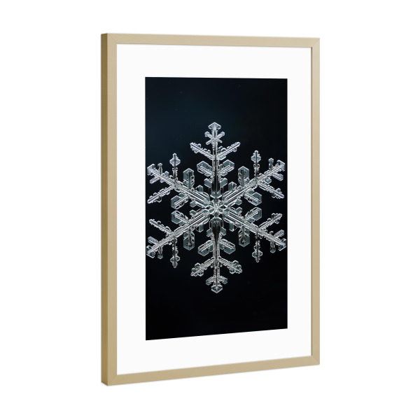 Poster mit Rahmen Gold "Schneeflocken-Makro" artboxONE - Natur,Abstrakt - Schwarz,Detail,Flocke,Eis,Makro,Natur,Fotografie,Schnee,Schneeflocke