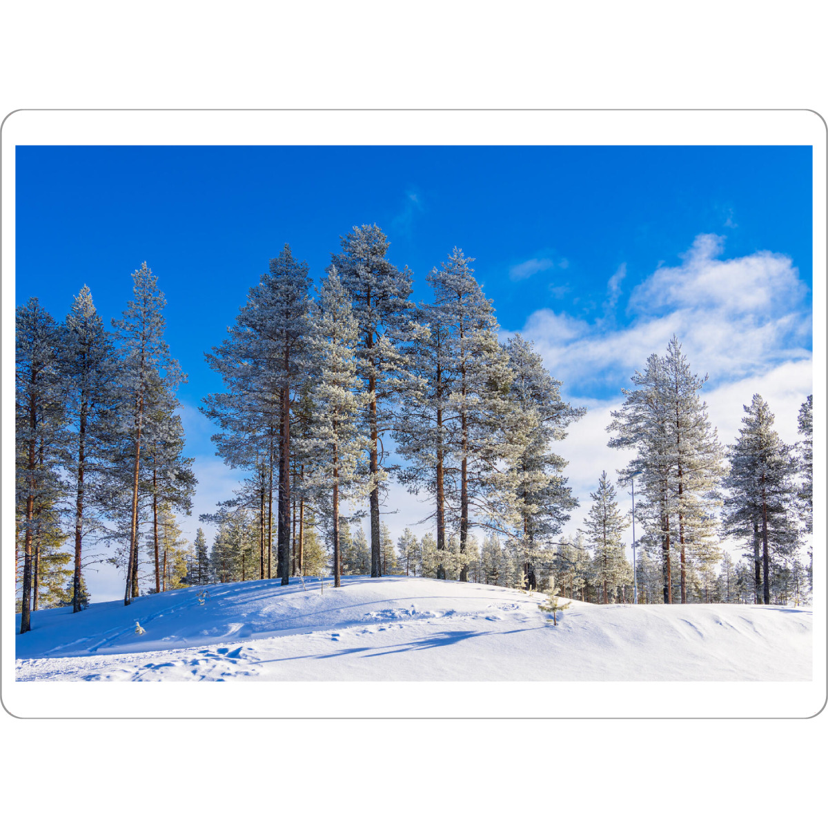 Tischset "Bäume mit Schnee in Kuusamo" artboxONE - Natur,Reise,Reise / Länder