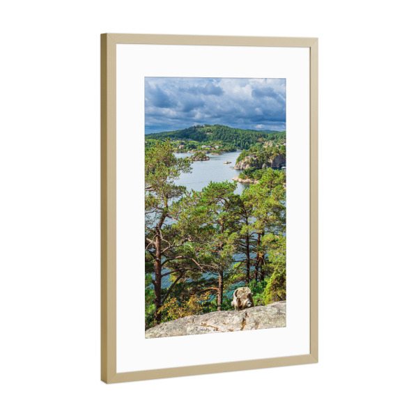 Poster mit Rahmen Gold "Bäume und Felsen am Meer" artboxONE - Natur,Reise,Reise / Strand und Meer,Reise / Länder