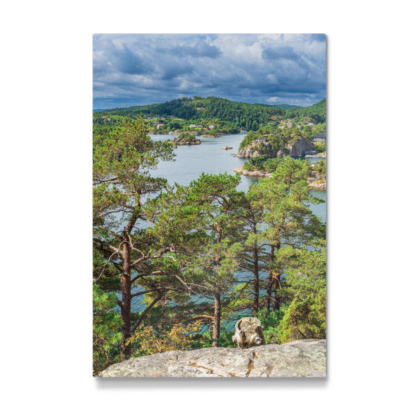Galerie-Print "Bäume und Felsen am Meer" 30x20 cm artboxONE
