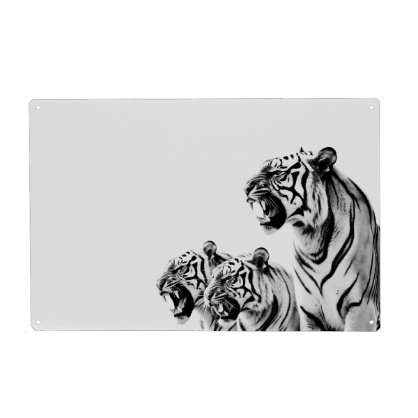 Metall Poster "Tiger minimalistisch" artboxONE - Natur,Tiere - Tiger,Minimalistische tiger,Tier,Wild,Schwarzweiß - Blechschild