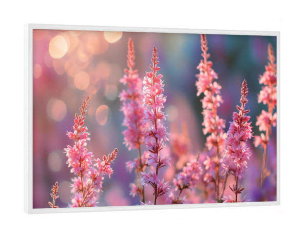 Poster mit weißem Rahmen "Foto von Ping-Frühlingsblumen" artboxONE - Natur,Floral - Bokeh,Feld,Blume,Blumen,Wiese,Natur,Rosa,Frühling,Sonnenuntergang