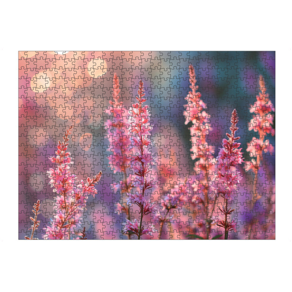 artboxONE Puzzle "Foto von Ping-Frühlingsblumen" artboxONE - Natur,Floral - Bokeh,Feld,Blume,Blumen,Wiese,Natur,Rosa,Frühling,Sonnenuntergang