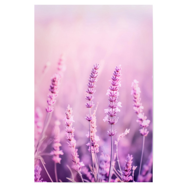 Poster 30x20 cm "Lavendel Kunst" artboxONE - Floral,Liebe,Ultraviolet