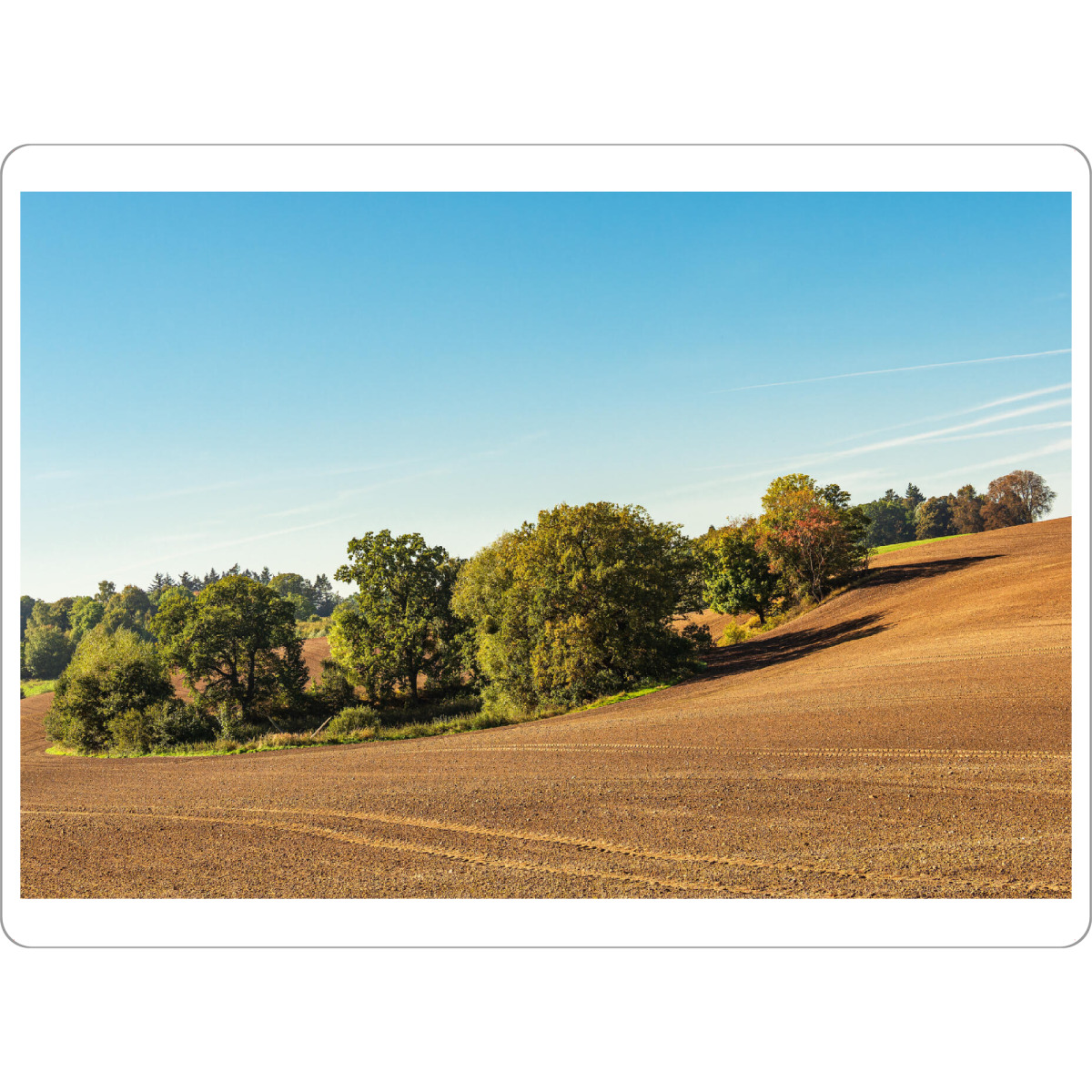 Tischset "Landschaft mit Feld und Bäumen" artboxONE - Natur,Reise