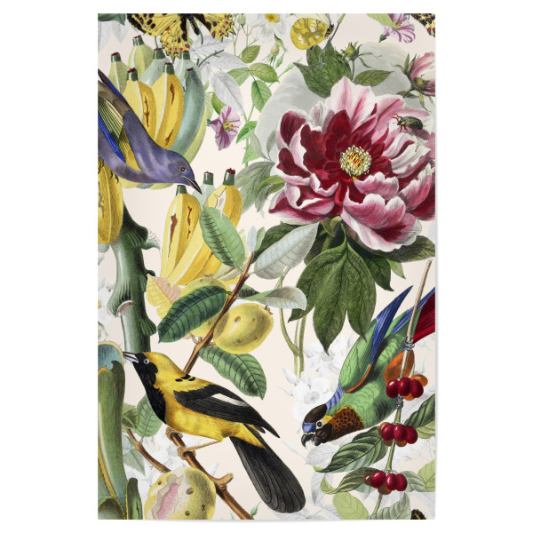 Poster 30x20 cm "Arcano Viridarium" artboxONE - Natur,Tiere - Botanik,Schmetterling,Vögel,Natur,Garten,Grün