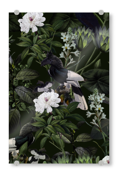Acrylglasbild "Exotische Nacht" artboxONE - Natur,Floral,Tiere - Tukan,Exotisch,Wald,Wild,Dschungel,Natur,Botanisch