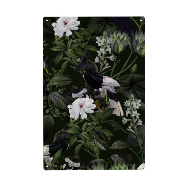 Metall Poster "Exotische Nacht" artboxONE - Natur,Floral,Tiere - Tukan,Exotisch,Wald,Wild,Dschungel,Natur,Botanisch - Blechschild