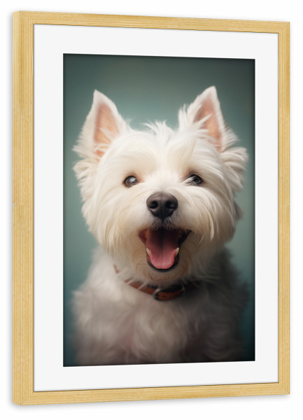 Poster mit Rahmen kiefer "Weißer Highland Terrier" artboxONE - Tiere