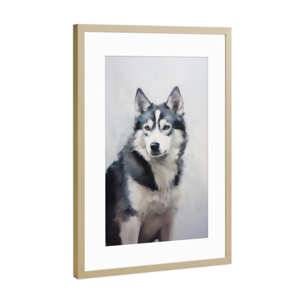 Poster mit Rahmen Gold "Sibirischer Husky" artboxONE - Natur,Tiere