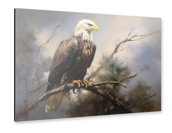 Alu-Dibond "Amerikanischer Adler" 30x20 cm artboxONE