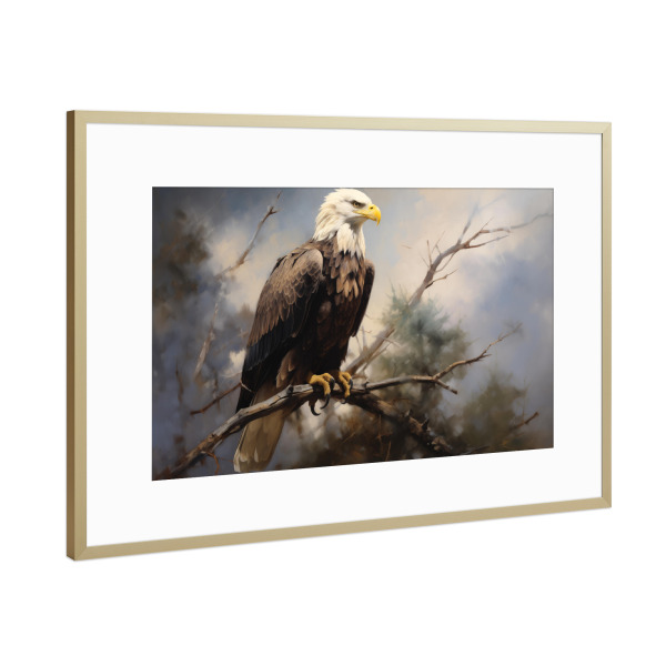 Poster mit Rahmen Gold "Amerikanischer Adler" artboxONE - Natur,Tiere