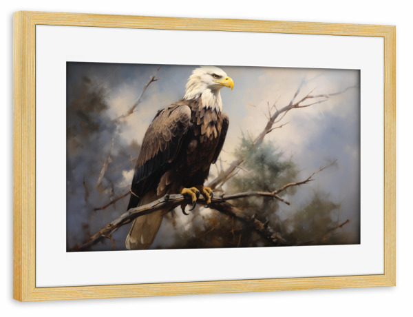 Poster mit Rahmen kiefer "Amerikanischer Adler" artboxONE - Natur,Tiere