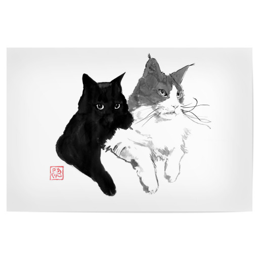 Zwei Katzen nebeneinander