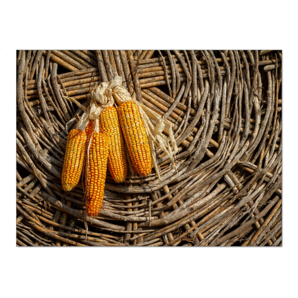 Puzzle Ravensburger "Maiskolben als Dekoration" artboxONE - Natur - Mais,Maiskolben,Ernte,Landwirtschaft,Dekoration,Deko - Bild mais