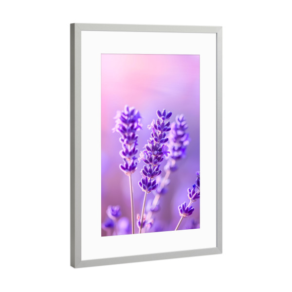 Poster mit Rahmen Silber "Lavendel vibes" artboxONE - Floral,Liebe,Ultraviolet