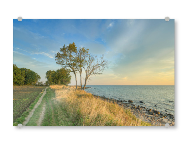 Acrylglasbild "Fehmarn Steilküste Staberhuk" artboxONE - Natur,Reise,Reise / Strand und Meer